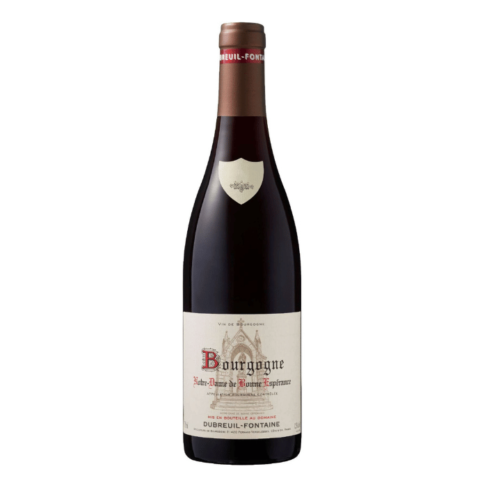 Bourgogne "Notre Dame de Bonne Espérance 2020 Vin rouge