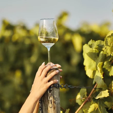 vin blanc